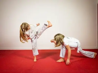 Brazilarte Academy BJJ Academy - photo 2