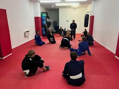 Brazilarte Academy BJJ Academy - photo 3