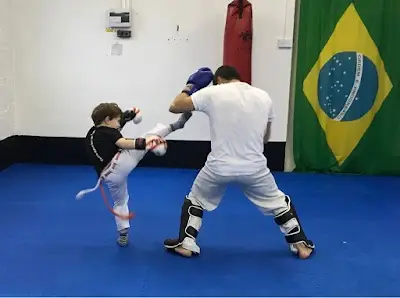 Brazilarte Academy BJJ Academy - photo 4