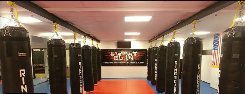 Brazilian Jiu Jitsu Academy of Queens BJJ Academy - photo 1