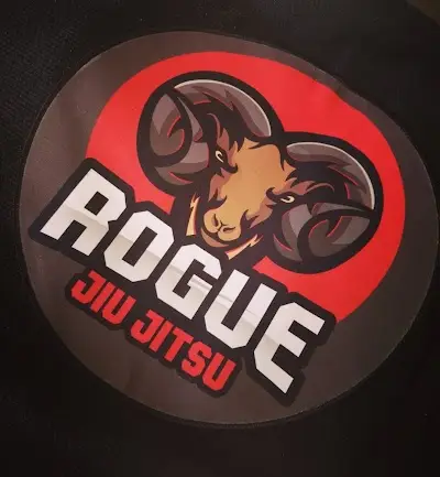 Brazilian Jiu Jitsu (BJJ) Hertfordshire BJJ Academy - photo 2