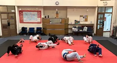 Brazilian jiu jitsu (BJJFAMILY) BJJ Academy - photo 1