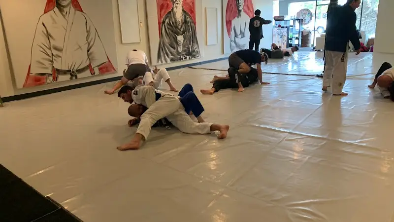 Brazilian Jiu Jitsu Club of Michigan