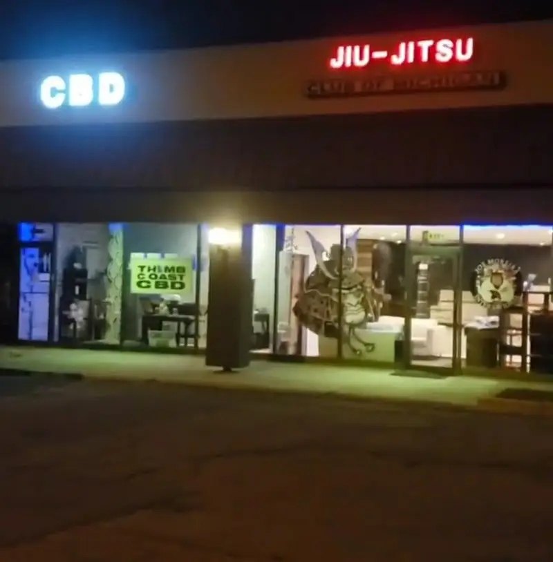 Brazilian Jiu Jitsu Club of Michigan BJJ Academy - photo 1