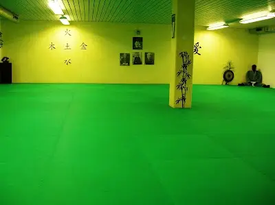 Brazilian Jiu Jitsu Schule BJJ Academy - photo 1