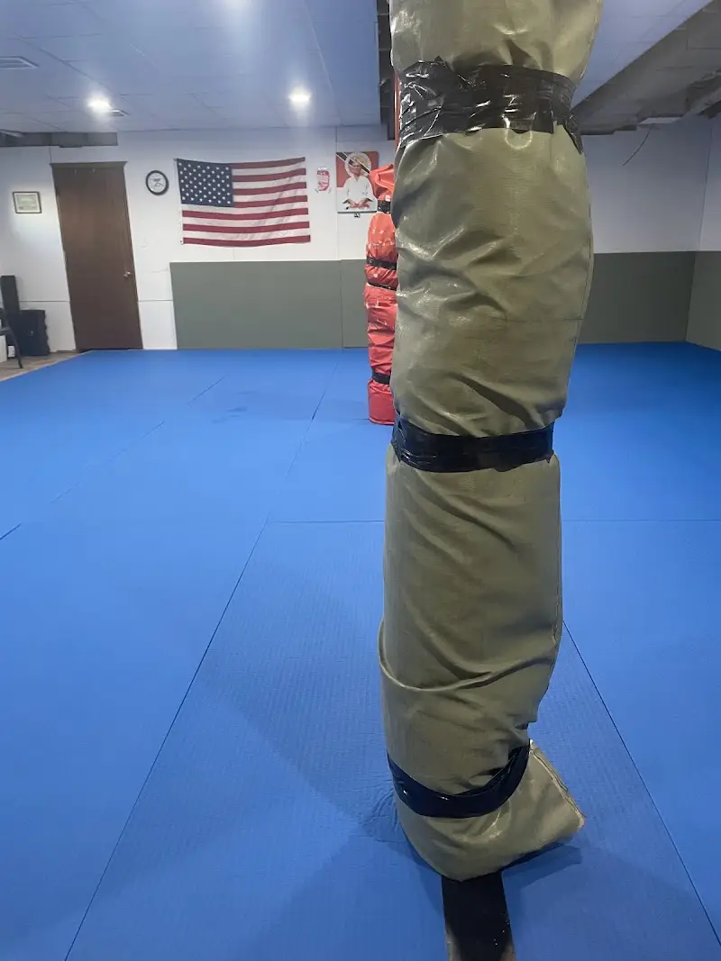 Brazilian Jiu-Jitsu & Self Defense Academy BJJ Academy - photo 1