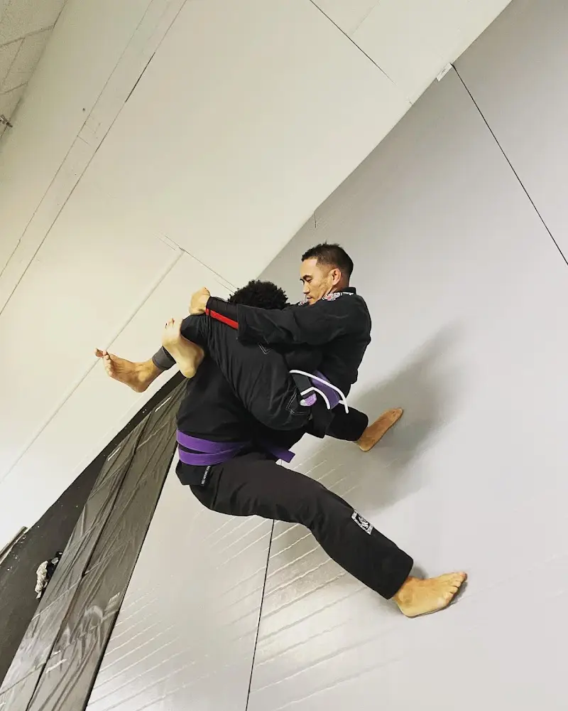 Brazilian Jiu-Jitsu Selma (Selma Soul Team BJJ) BJJ Academy - photo 1