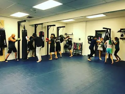 Brazilian Top Team Evergreen BJJ Academy - photo 1