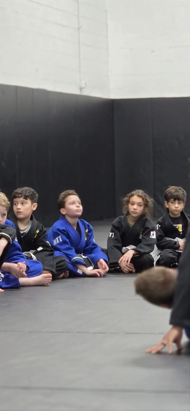 Brazilian Top Team Schaumburg BJJ Academy - photo 2
