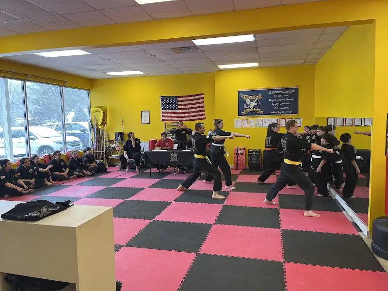 Britos Martial Arts LLC BJJ Academy - photo 1