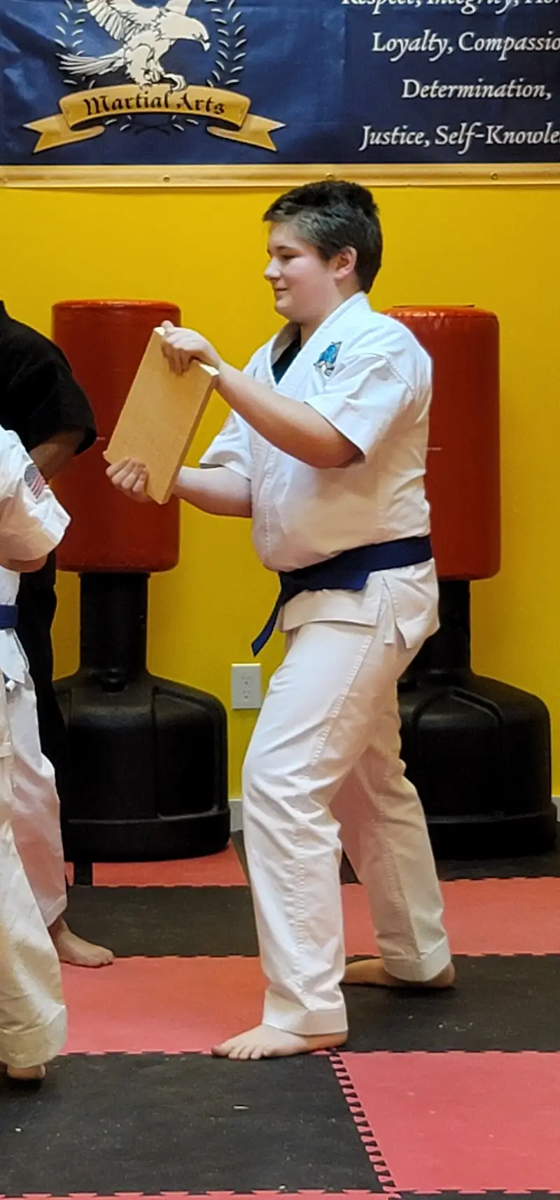 Britos Martial Arts LLC BJJ Academy - photo 2