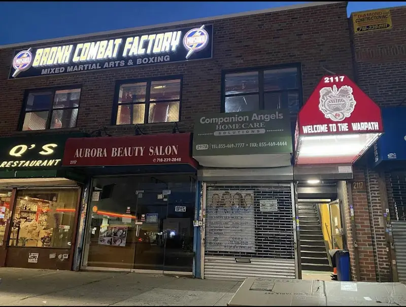 Bronx Combat Factory MCF