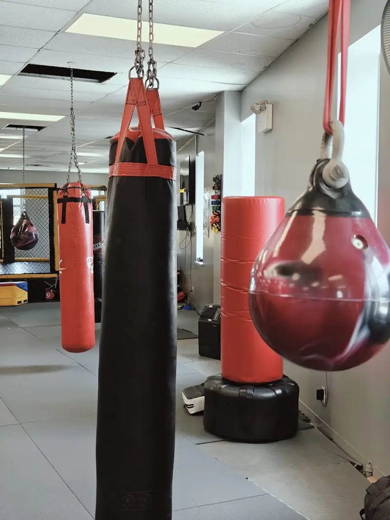 Brooklyn Strong Gym BJJ Academy - photo 1