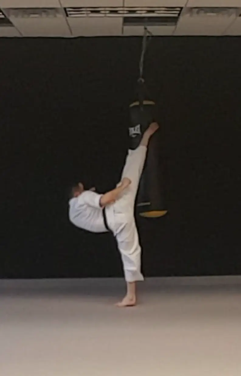Brown's School of Martial Arts BJJ Academy - photo 1