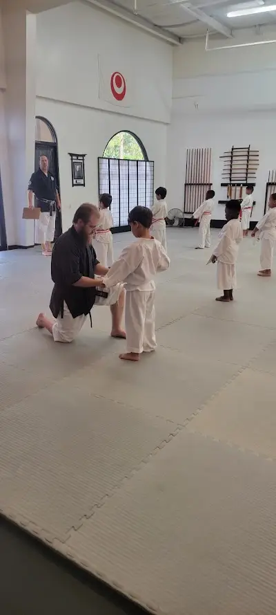 Brunson Martial Arts BJJ Academy - photo 3