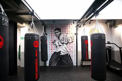 BuddhaBox Gym BJJ Academy - photo 2