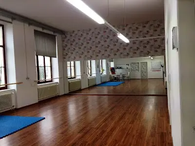 BUDO-CLUB-DRESDEN BJJ Academy - photo 1