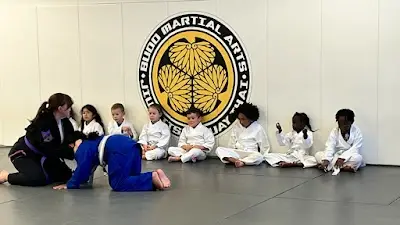 Budo Martial Arts Studio