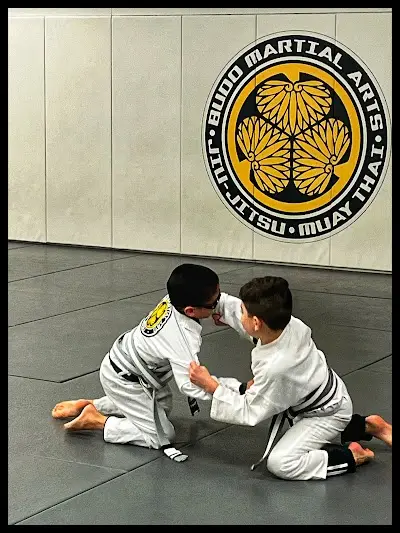 Budo Martial Arts Studio BJJ Academy - photo 2