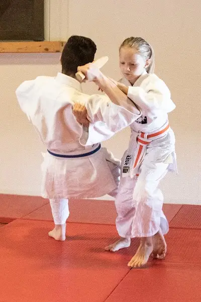 Budo Sportclub Bliem BJJ Academy - photo 1