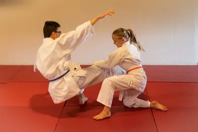 Budo Sportclub Bliem BJJ Academy - photo 2