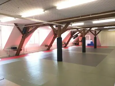 Budo-Team Sportschule GmbH BJJ Academy - photo 1