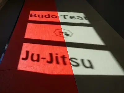Budo-Team Sportschule GmbH BJJ Academy - photo 4