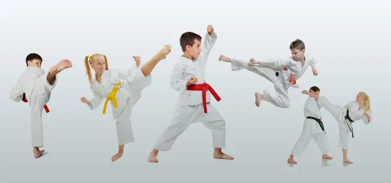 Budokan Newton Martial Arts