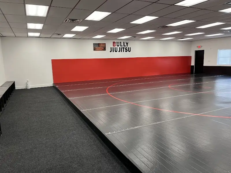 Bully Jiu Jitsu