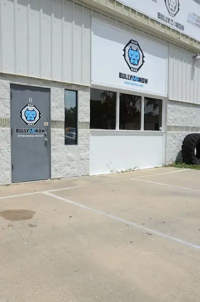 Bully Me Now - Port Orange BJJ Academy - photo 1