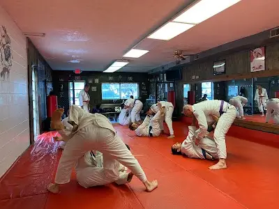 Bushido Martial Arts BJJ Academy - photo 2