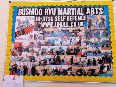 Bushido Ryu Martial Arts BJJ Academy - photo 1