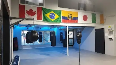 C4 MMA & Fitness BJJ Academy - photo 1