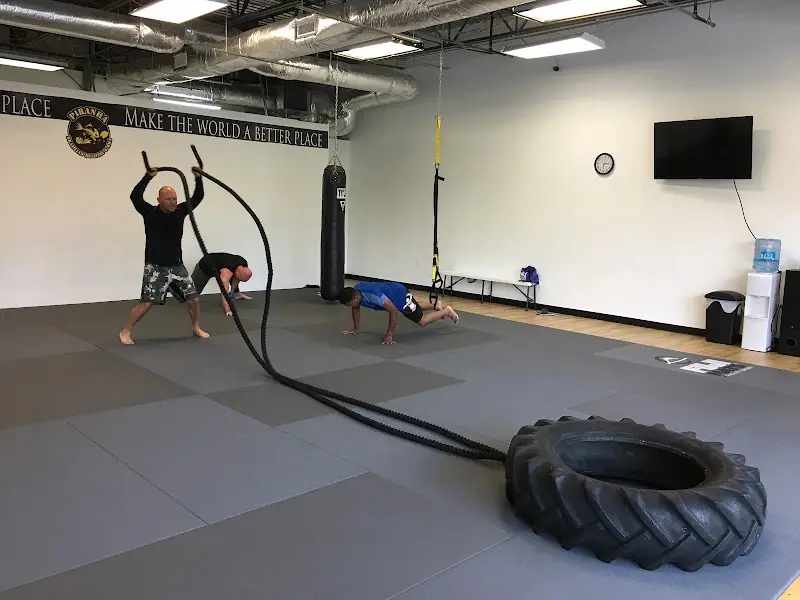 Caio Terra Jiu Jitsu Academy - Sterling