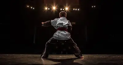 Canadian Black Belt Academy – Mississauga Karate & Jiu-Jitsu BJJ Academy - photo 2