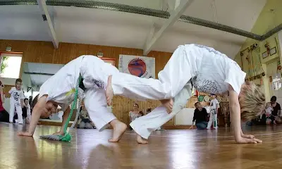 Capoeira Fellbach BJJ Academy - photo 1