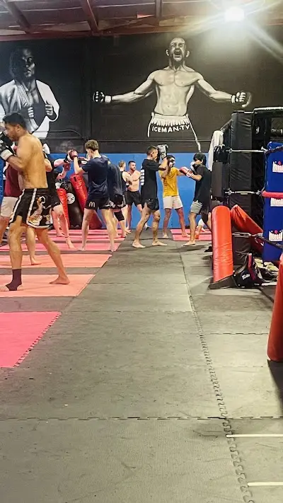 Cardioflex MMA Gym BJJ Academy - photo 1