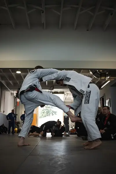 Carlson Gracie Calgary BJJ Academy - photo 3