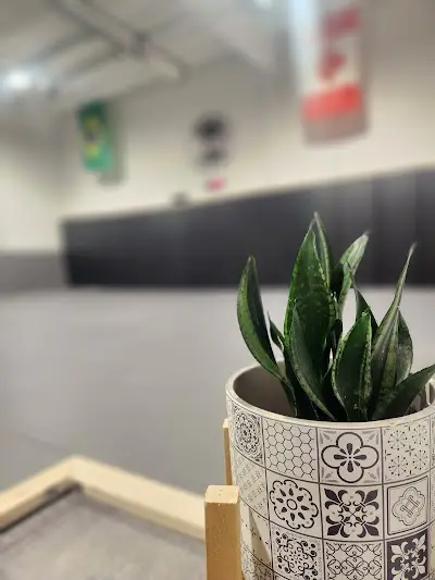 Carlson Gracie Calgary BJJ Academy - photo 4