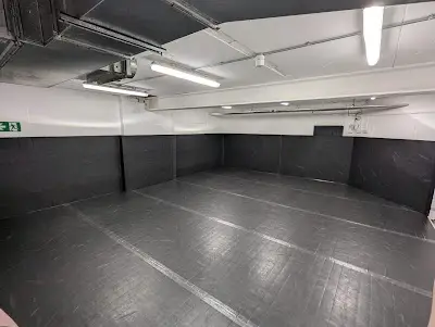 Carlson Gracie Unit 51 BJJ Academy - photo 3