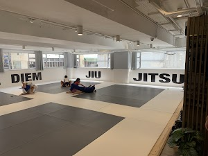 Inside Carpe Diem Jiu Jitsu 柔術館 Hong Kong academy