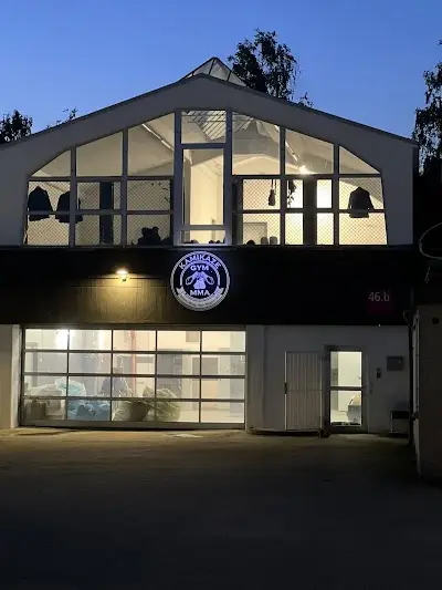 CASTLE GYM BONN | MMA Ringen Kick/Thaiboxen Boxen Fitness & Selbstverteidigung BJJ Academy - photo 4