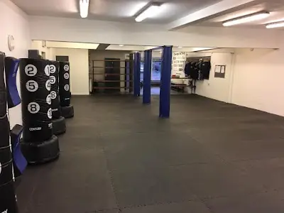 Castle Martial Arts BJJ Academy - photo 3