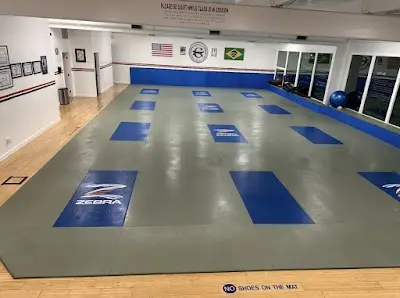 Castroviejo Brazilian Jiu Jitsu Academy BJJ Academy - photo 1