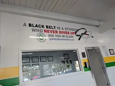 Castroviejo Brazilian Jiu Jitsu Academy BJJ Academy - photo 4