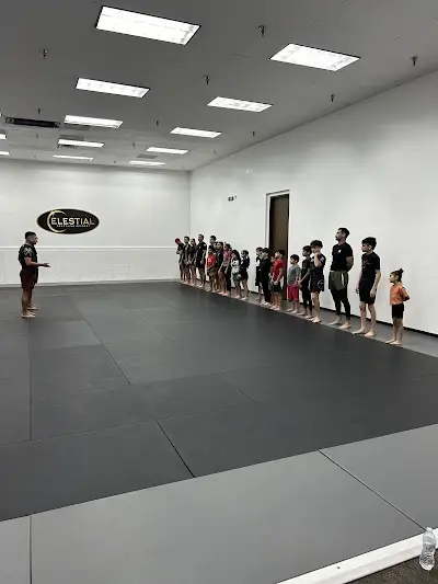 Celestial Grappling Academy