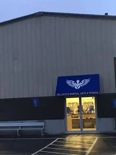 Cellucci's Martial Arts & Fitness BJJ Academy - photo 2
