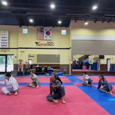 Centreville Brazilian Jiu Jitsu BJJ Academy - photo 1