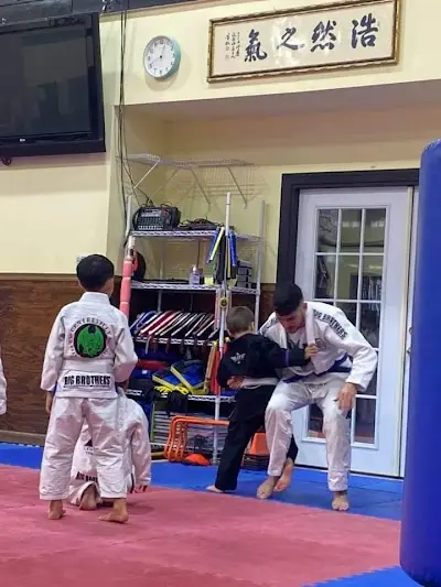 Centreville Brazilian Jiu Jitsu BJJ Academy - photo 4