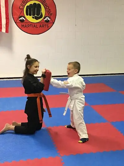 Cerio Ambrosia Martial Arts BJJ Academy - photo 1